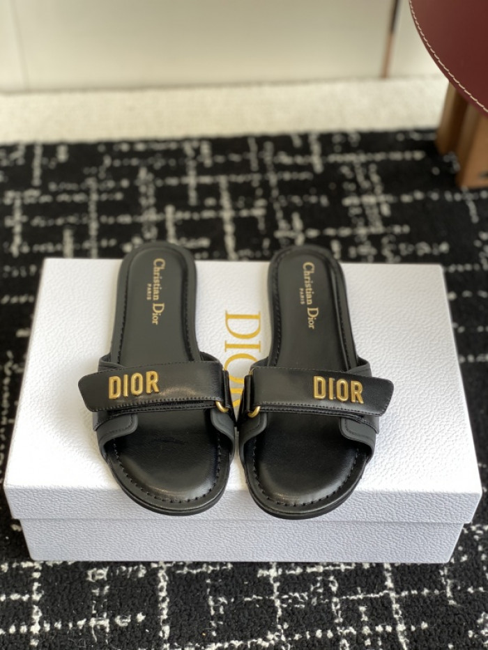 D1R* SLIDE  DR-SLIDE 023