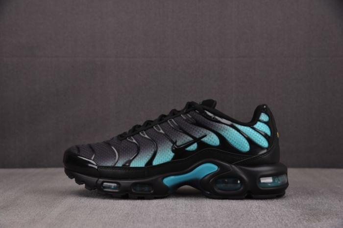 Nike Air Max Plus ''Black Dusty Cactus'' - DM0032-016