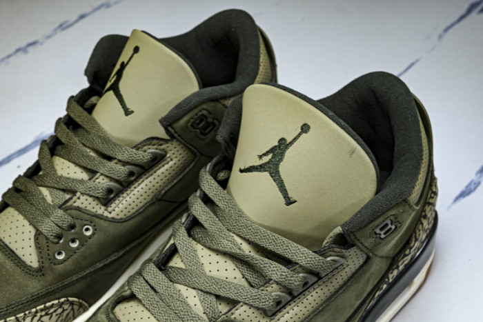 Air Jordan 3 Family Affair Medium Olive DN3707-202