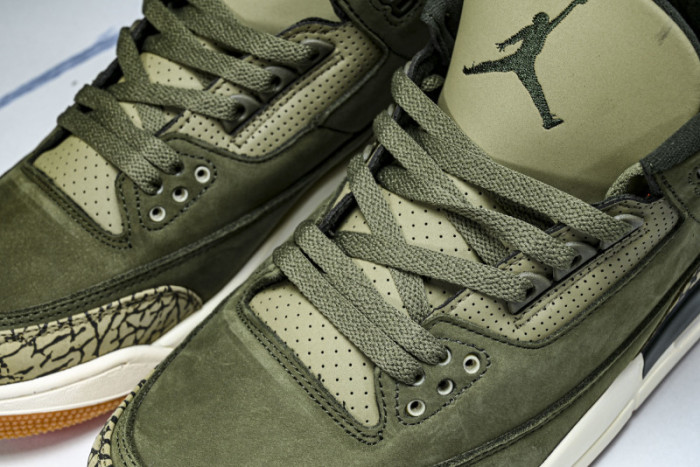 Air Jordan 3 Family Affair Medium Olive DN3707-202