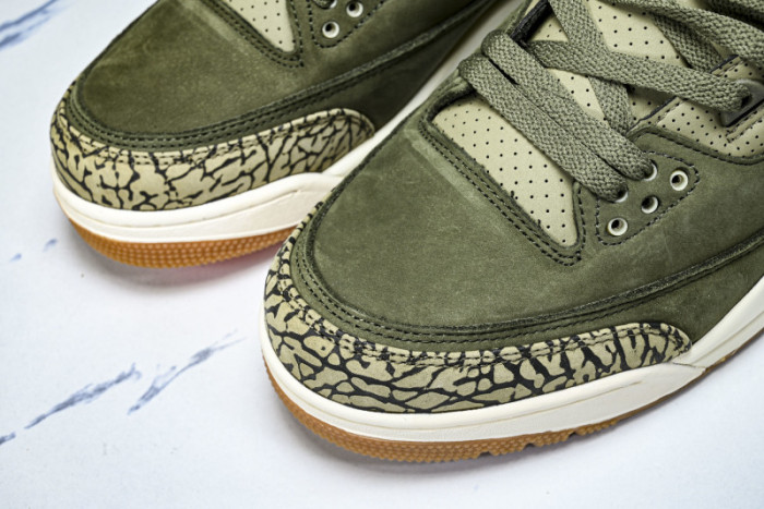 Air Jordan 3 Family Affair Medium Olive DN3707-202