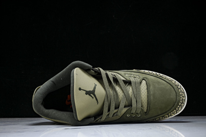 Air Jordan 3 Family Affair Medium Olive DN3707-202